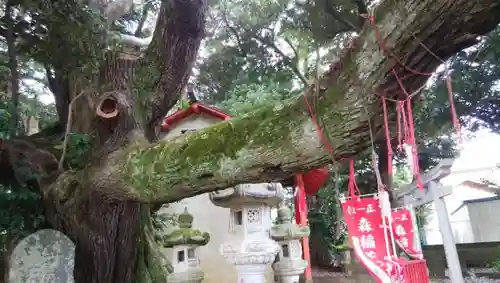 森稲荷大明神の建物その他