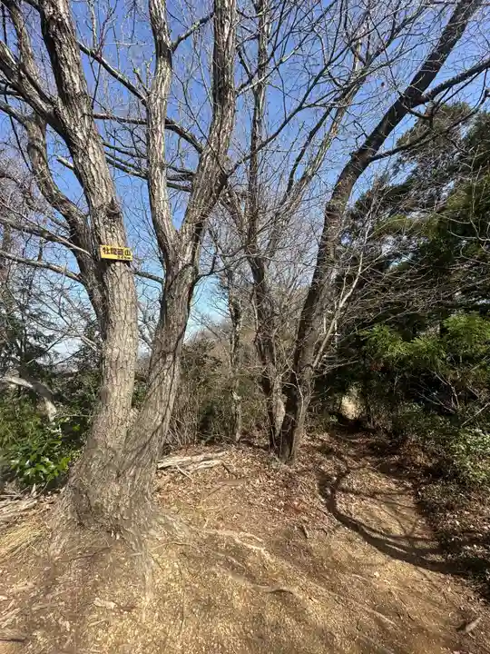 航空神社(神奈川県)