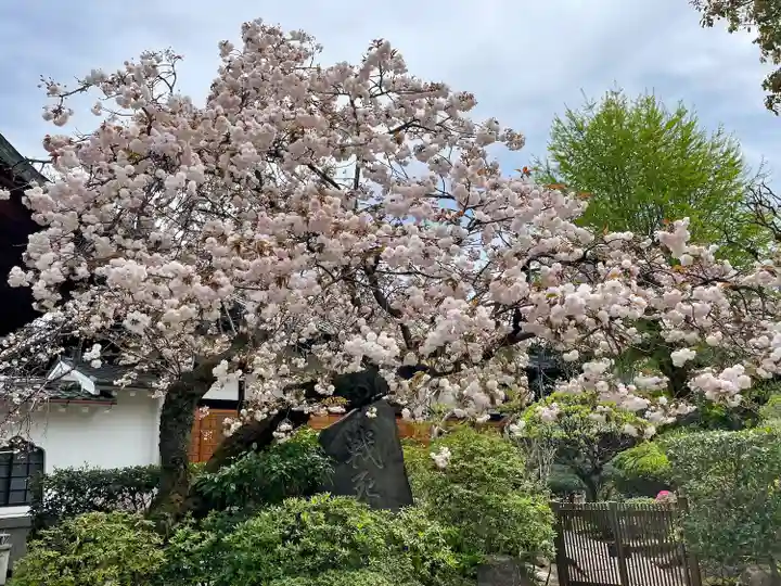 南泉寺(東京都)