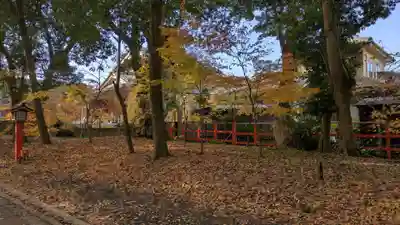 彌伽宜神社(京都府)