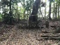 鹿島神社の末社