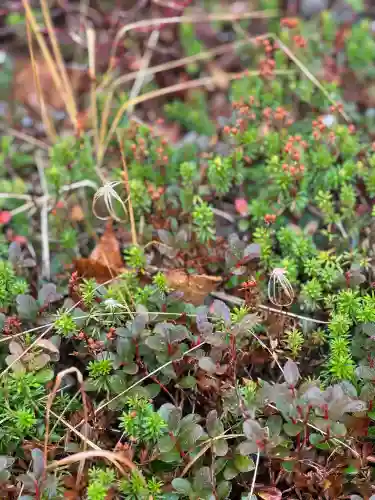 信州駒ヶ岳神社(長野県)