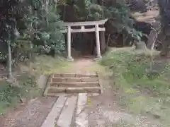 諏訪大神の鳥居