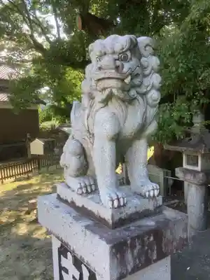 新田白山神社の狛犬