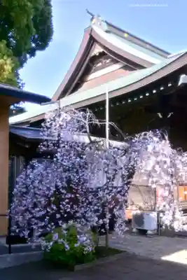 鳩ヶ谷氷川神社(埼玉県)