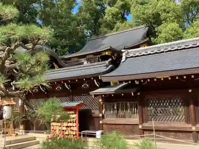 今宮神社(京都府)