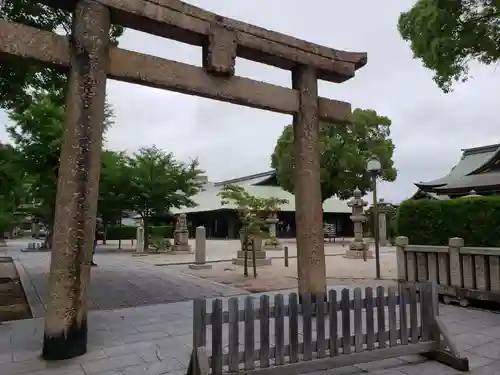 若松恵比須神社 の鳥居