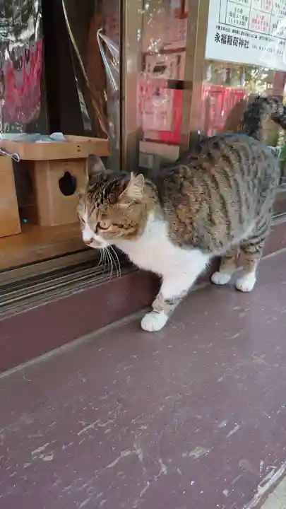 永福稲荷神社(東京都)
