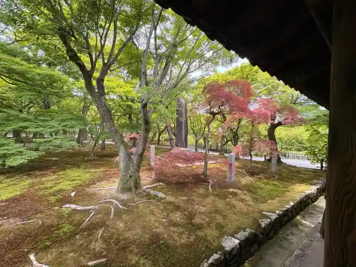 東福禅寺(東福寺)(京都府)