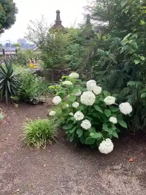 不動院(神奈川県)