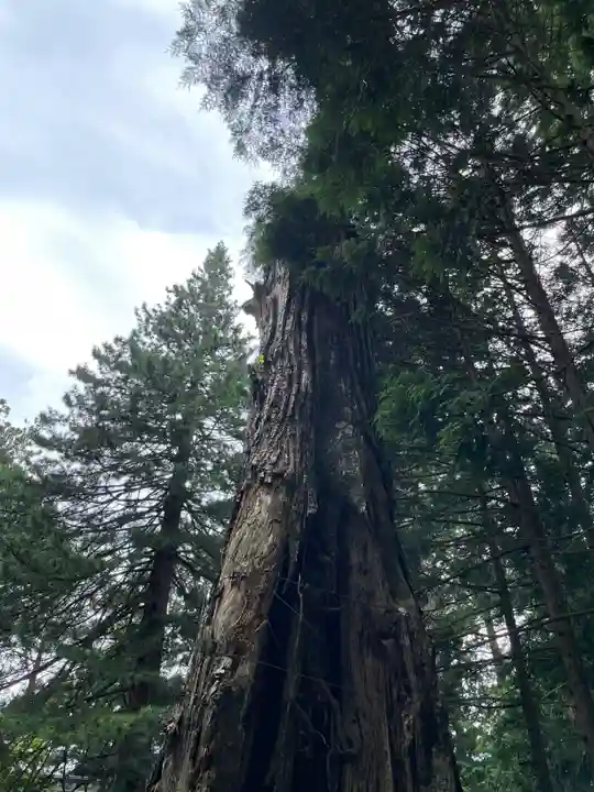 日光東照宮奥宮拝殿(栃木県)