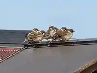 興全寺(神奈川県)