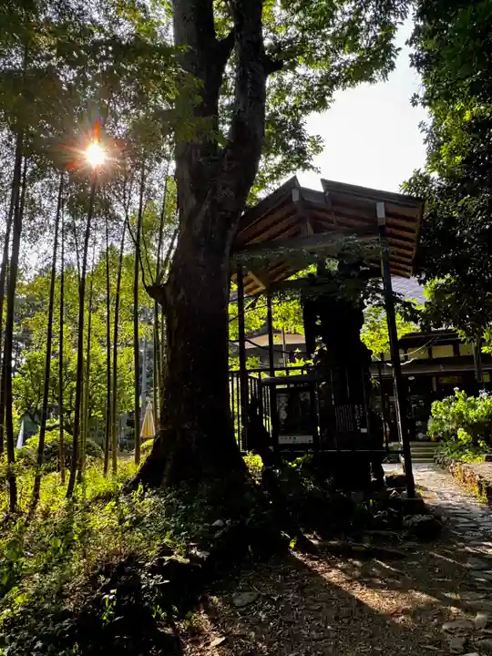 柳津虚空蔵尊 寳性院(宮城県)