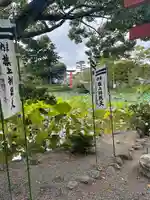 旗上弁財天社のその他建物