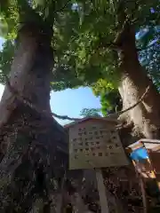 細江神社の自然