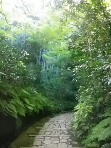 瑞泉寺の庭園