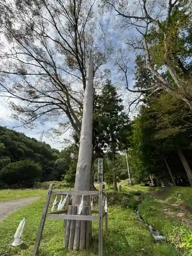 諏訪大社上社前宮(長野県)