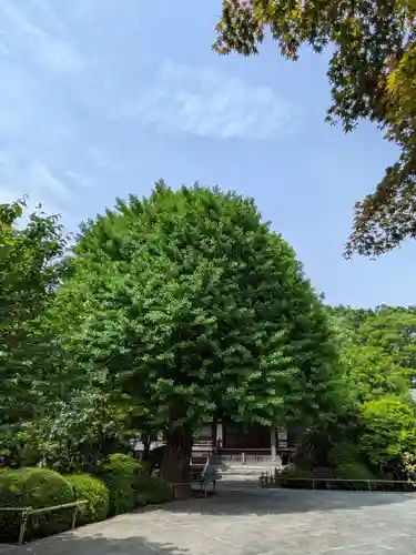高円寺(東京都)