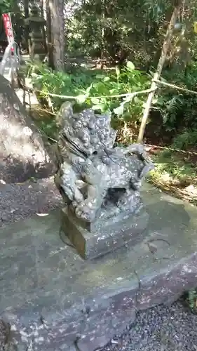 東霧島神社の狛犬