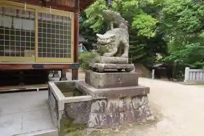 新宮神社の狛犬