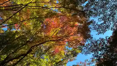 大矢田神社(岐阜県)