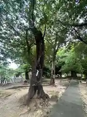 厳島神社(奈良県)