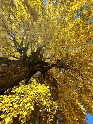 丹生酒殿神社(和歌山県)