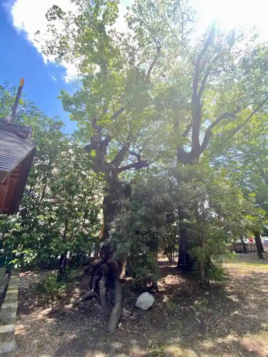 伏見稲荷大社 御旅所(京都府)