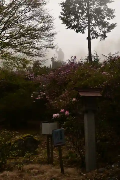 三峯神社(埼玉県)
