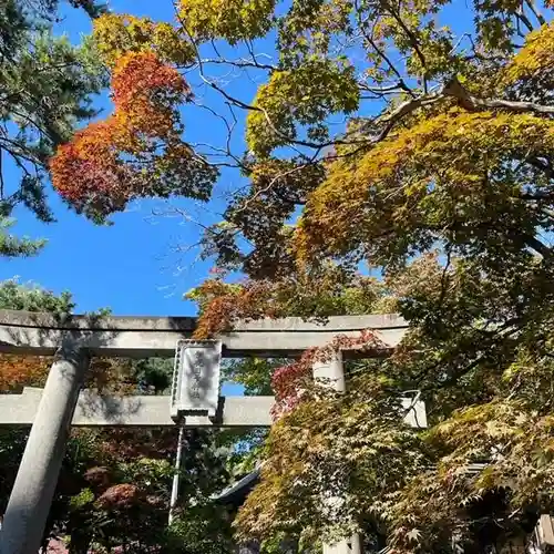 彌彦神社　(伊夜日子神社)の鳥居