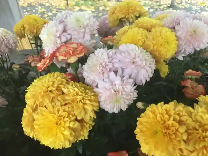 彌彦神社 (伊夜日子神社)の手水舎