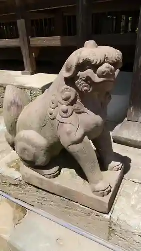 橘樹神社の狛犬