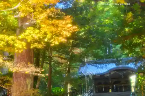 最乗寺（道了尊）(神奈川県)