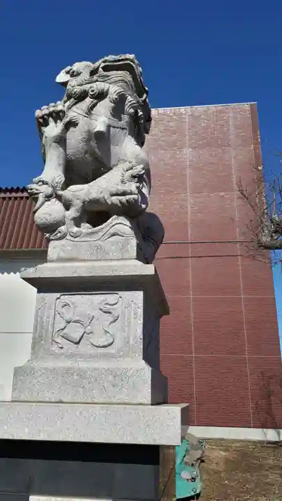 白老八幡神社の狛犬