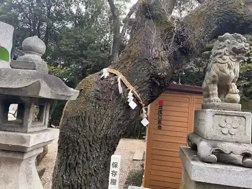 有松天満社(愛知県)