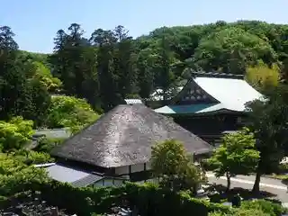 松嶺院の景色