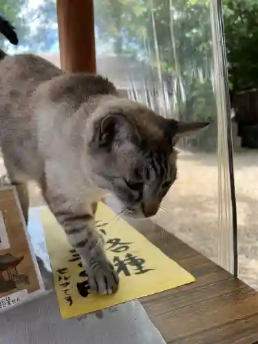 白鬚神社(宮崎県)