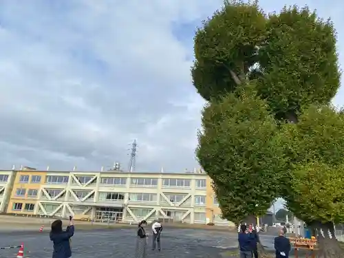 酒門神社(茨城県)