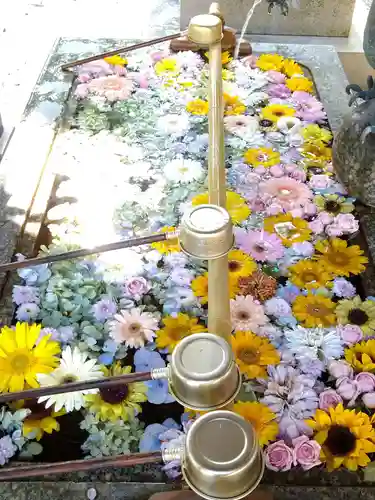 山﨑八幡宮の手水舎