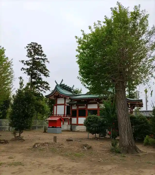 諏訪神社(埼玉県)