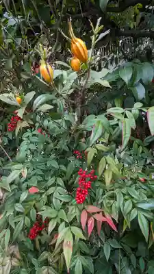 京都大神宮(京都府)