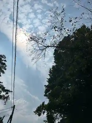 野木神社(栃木県)
