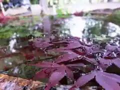 立志神社の手水