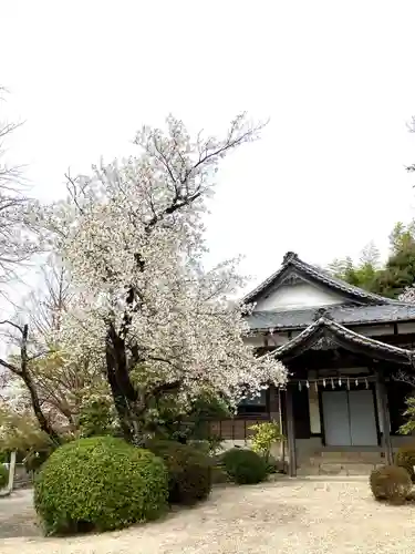 岡崎天満宮の自然