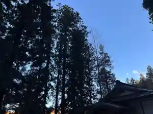 大宮温泉神社(栃木県)(2023年02月28日(火) 06時45分47秒投稿)