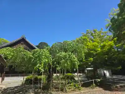 水無瀬神宮(大阪府)