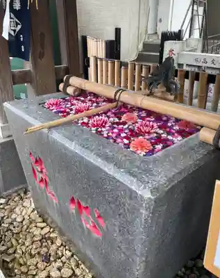 高円寺氷川神社の手水舎