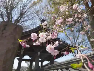盛岩寺(神奈川県)