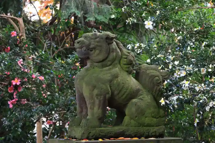 愛宕神社の狛犬