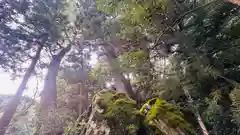 依居神社(福井県)